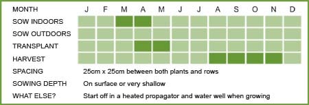 Celery Matrix