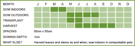 Fennel Matrix