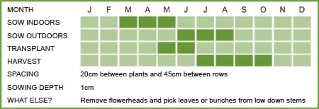 Parsley Matrix