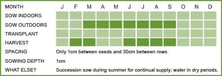 Spring Onion Matrix