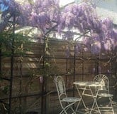 Canopies and gazebos