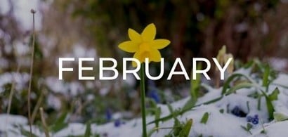 Jobs to do in the Garden in February - Harrod Horticultural