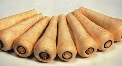 How To Grow Parsnips