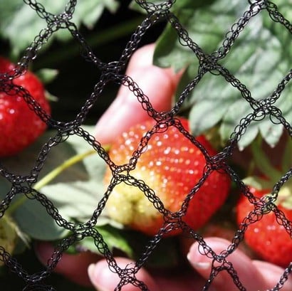 Anti-bird nets, pond nets, fishing nets, traps, crops, fruit trees,  vegetables and flower gardens, mesh pest controlGarden fence