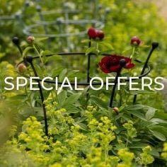 Obelisks & Plant Supports Obelisks & Plant Supports