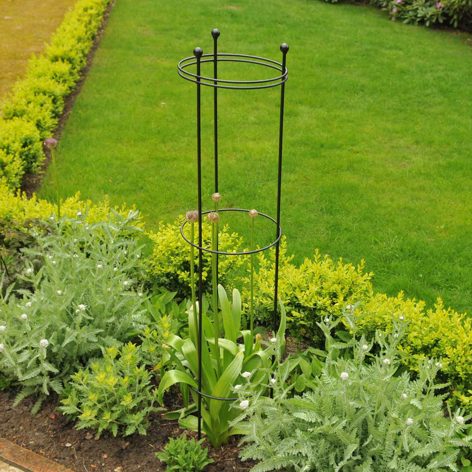 Garden Plant Support Tunnels Metal Rustic Metal Plant Supports For