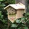 Bee and Ladybird Box - Harrod Horticultural (UK)