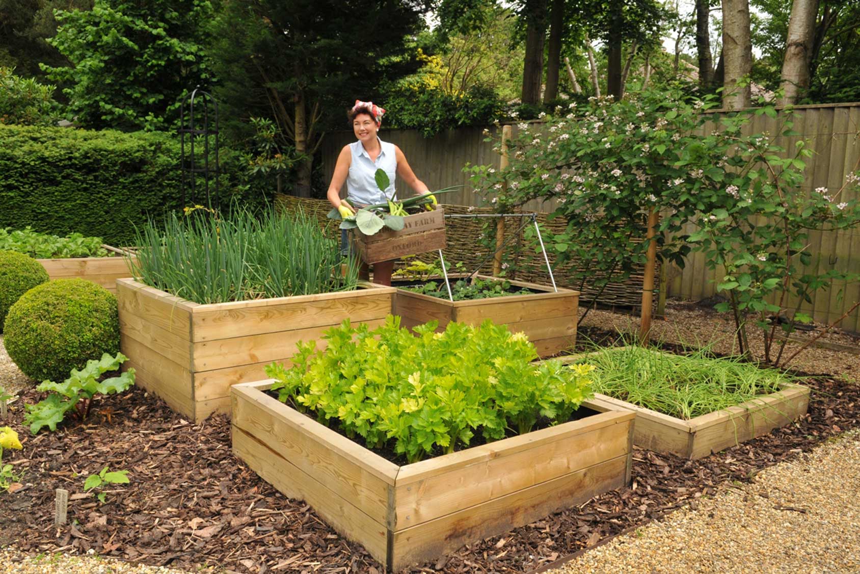 Allotment Wooden Raised Beds - Harrod Horticultural