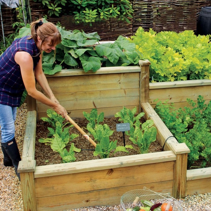 Superior Wooden Raised Beds - Harrod Horticultural