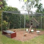 Steel Chicken Cages & Poultry Cages - Harrod Horticultural