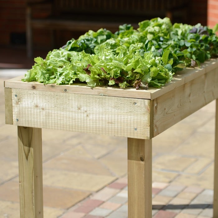 Standard Wooden Raised Bed Tables - Raised Bed Gardening Harrod ...