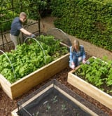 Raised Bed Liners - Harrod Horticultural (UK)