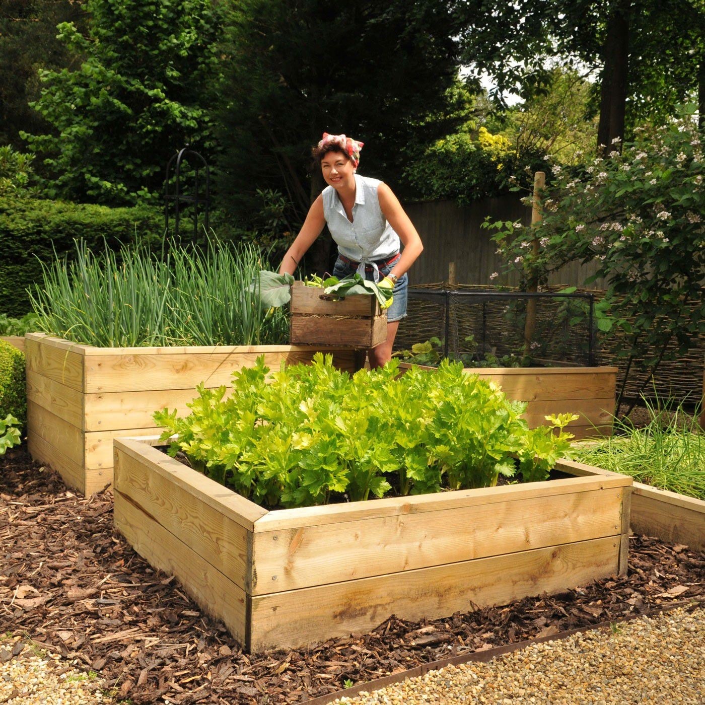 Standard Wooden Raised Beds - Harrod Horticultural