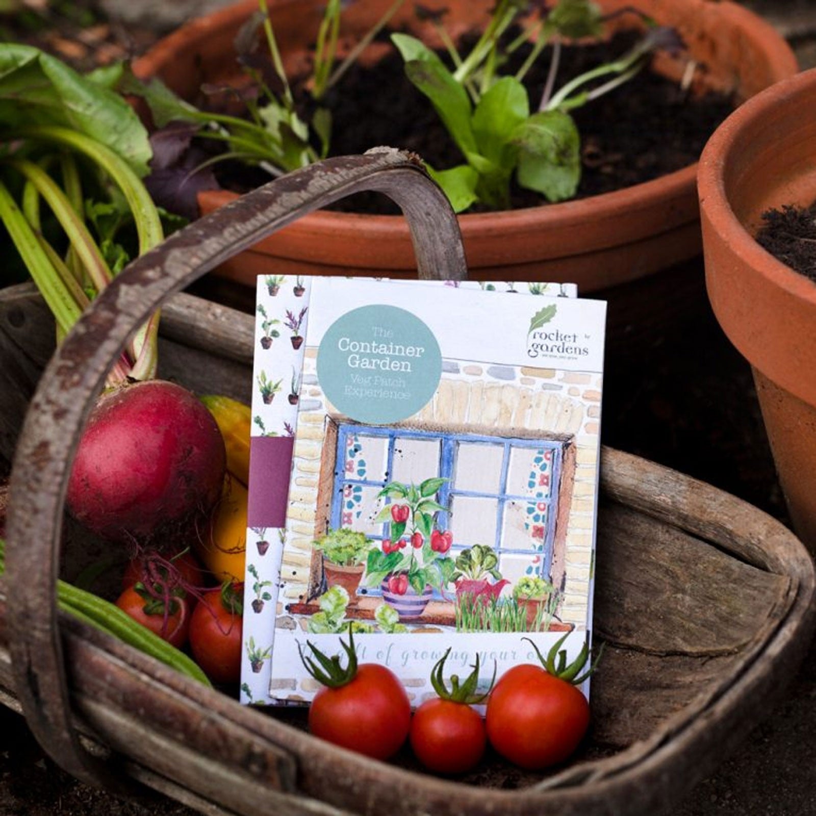 Container Garden Veg Patch Gift Voucher Harrod Horticultural