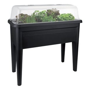 Contemporary Grow House Trough Table and Lid - Harrod 