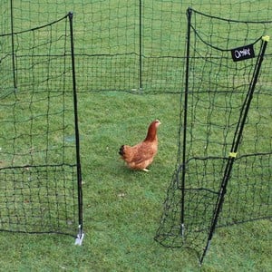 Flexible Chicken Fencing with Gate - Harrod Horticultural