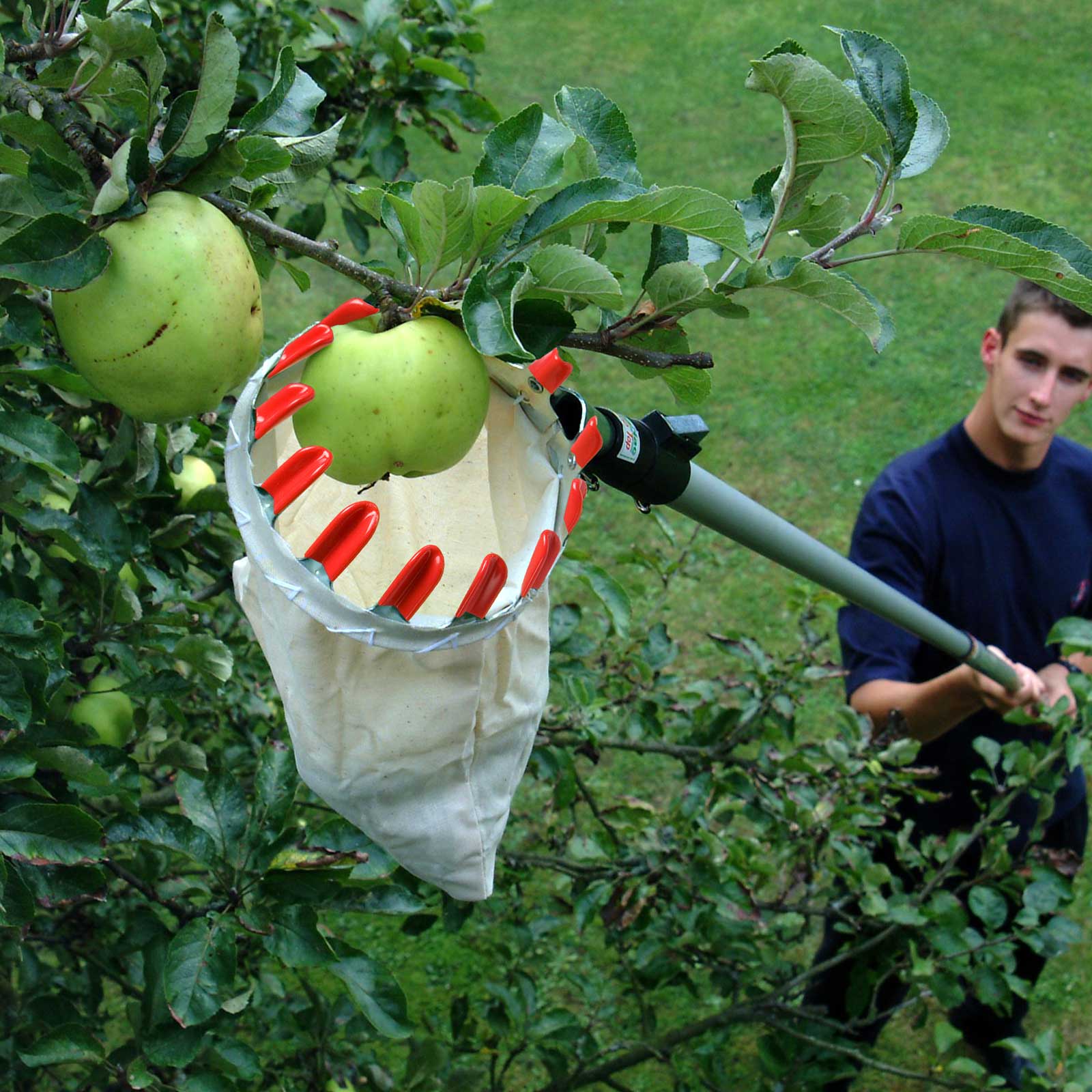 Fruit Picker Basket & Handle - Harrod Horticultural (UK)