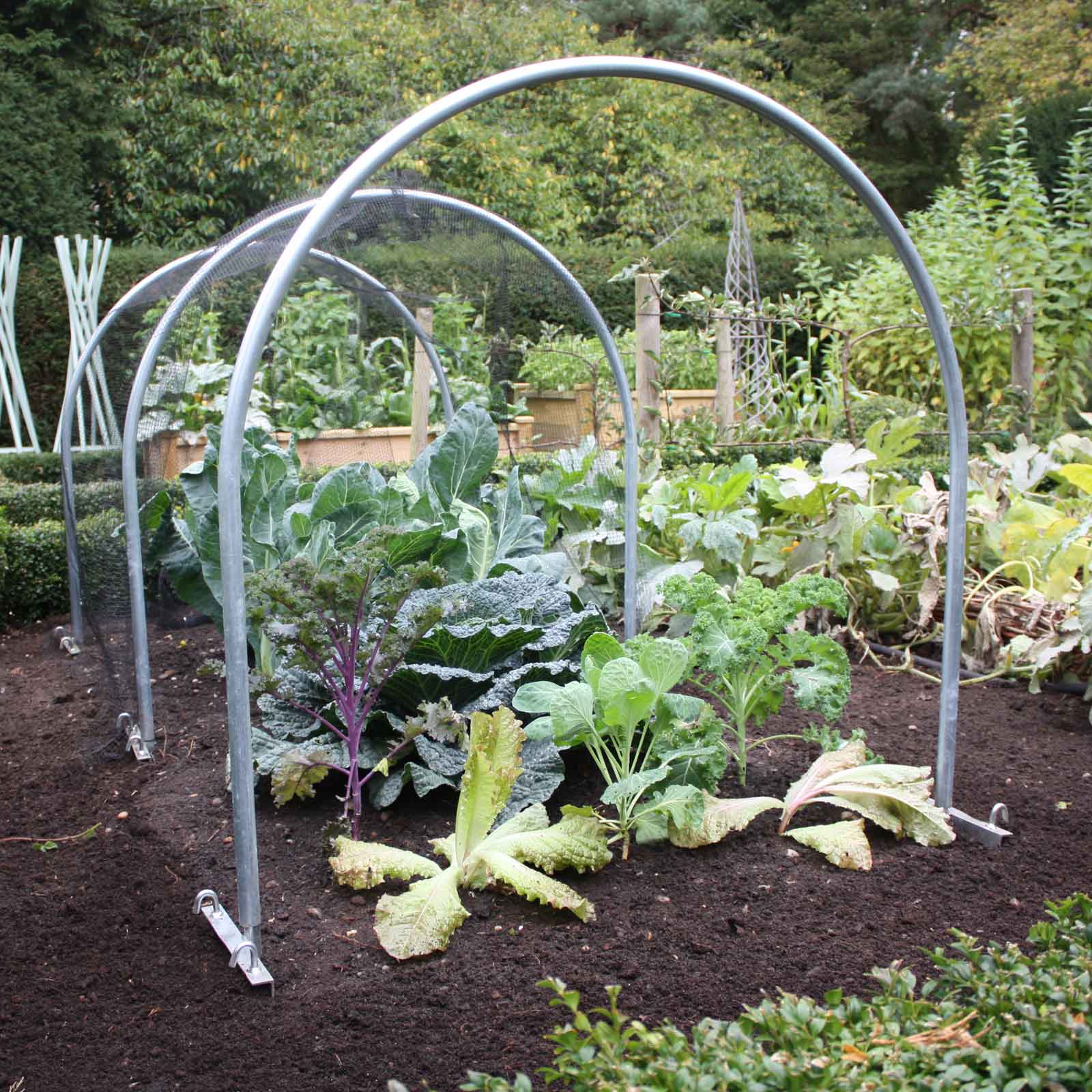 Row garden covers hoop diy cover hoops easy cabbage create