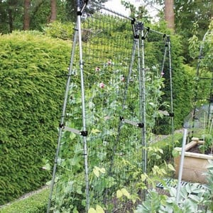 Plant Climbing and Support Frames Images - Harrod Horticultural ...