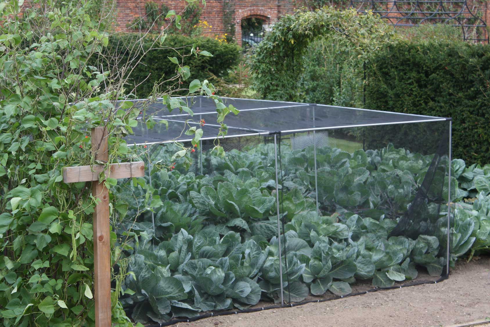 Slot & Lock® Aluminium Vegetable Cage (1.2m H) - Harrod Horticultural (UK)