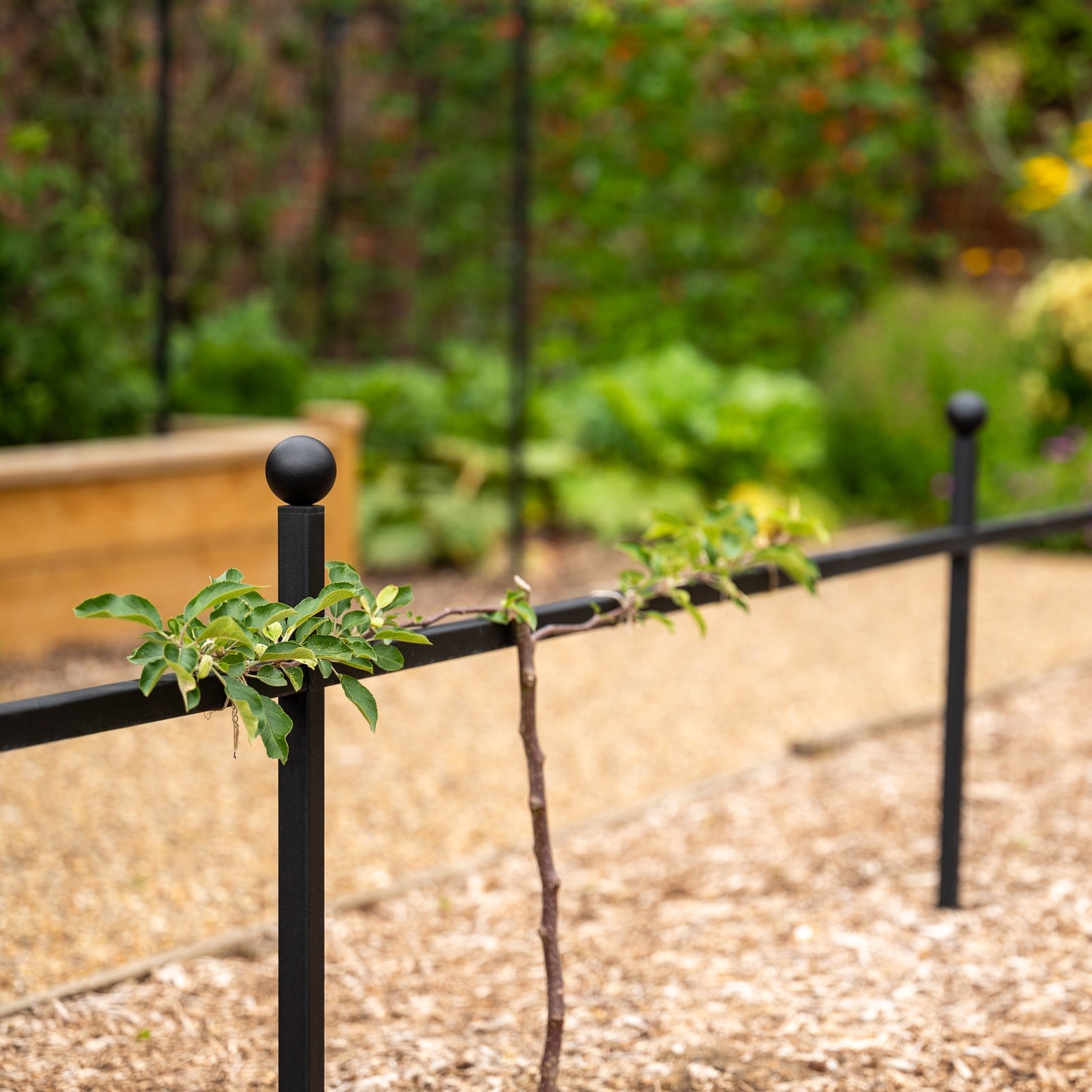 Harrod Step Over Support Plant Supports At Harrod Horticultural