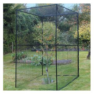 Heavy Duty Steel Cherry Tree Cage - Harrod Horticultural (UK)