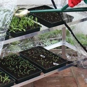 trays plastic seed pack harrodhorticultural