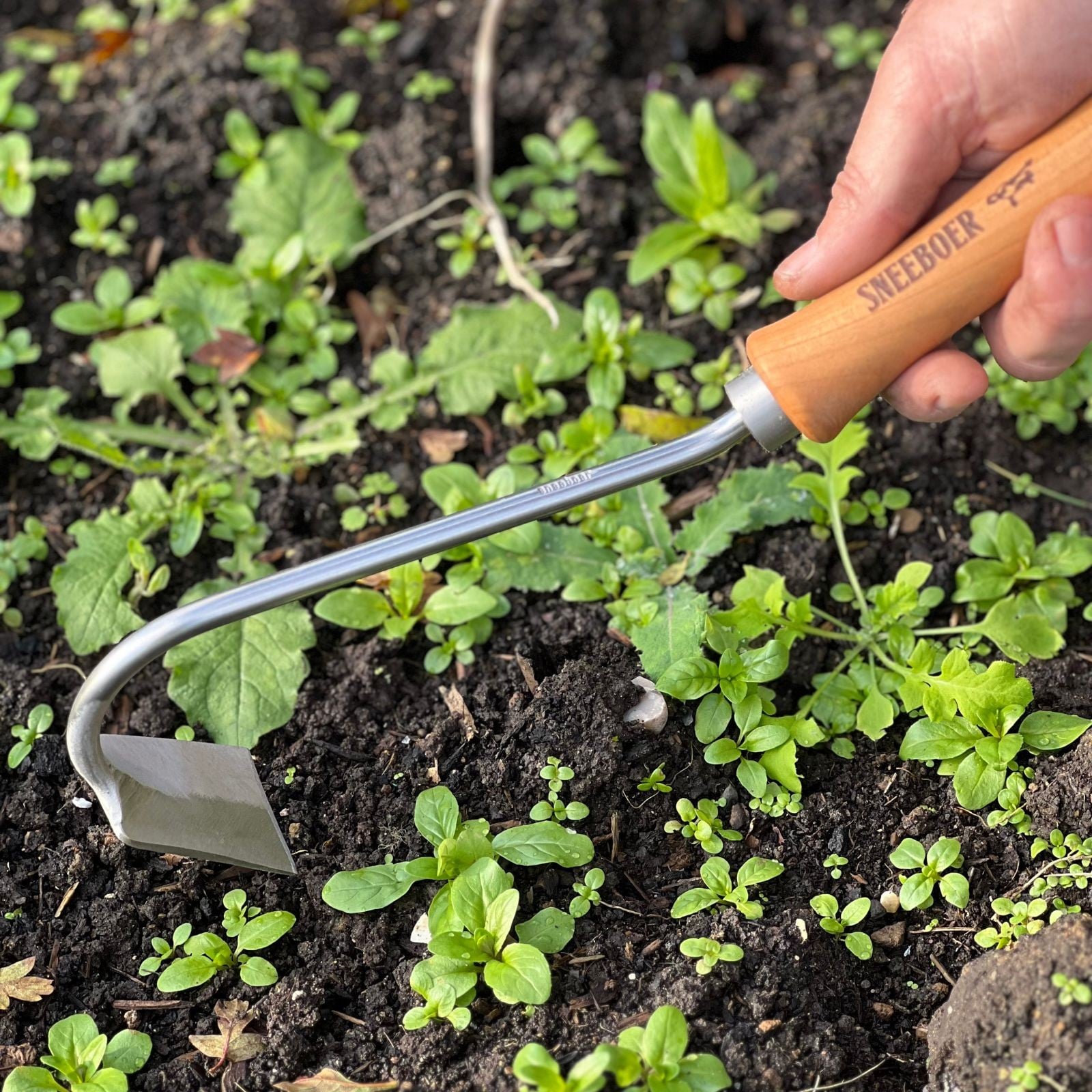 Sneeboer Hand Hoe/Weeder - Harrod Horticultural (UK)