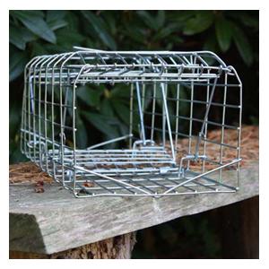 Squirrel Trap - Harrod Horticultural (UK)