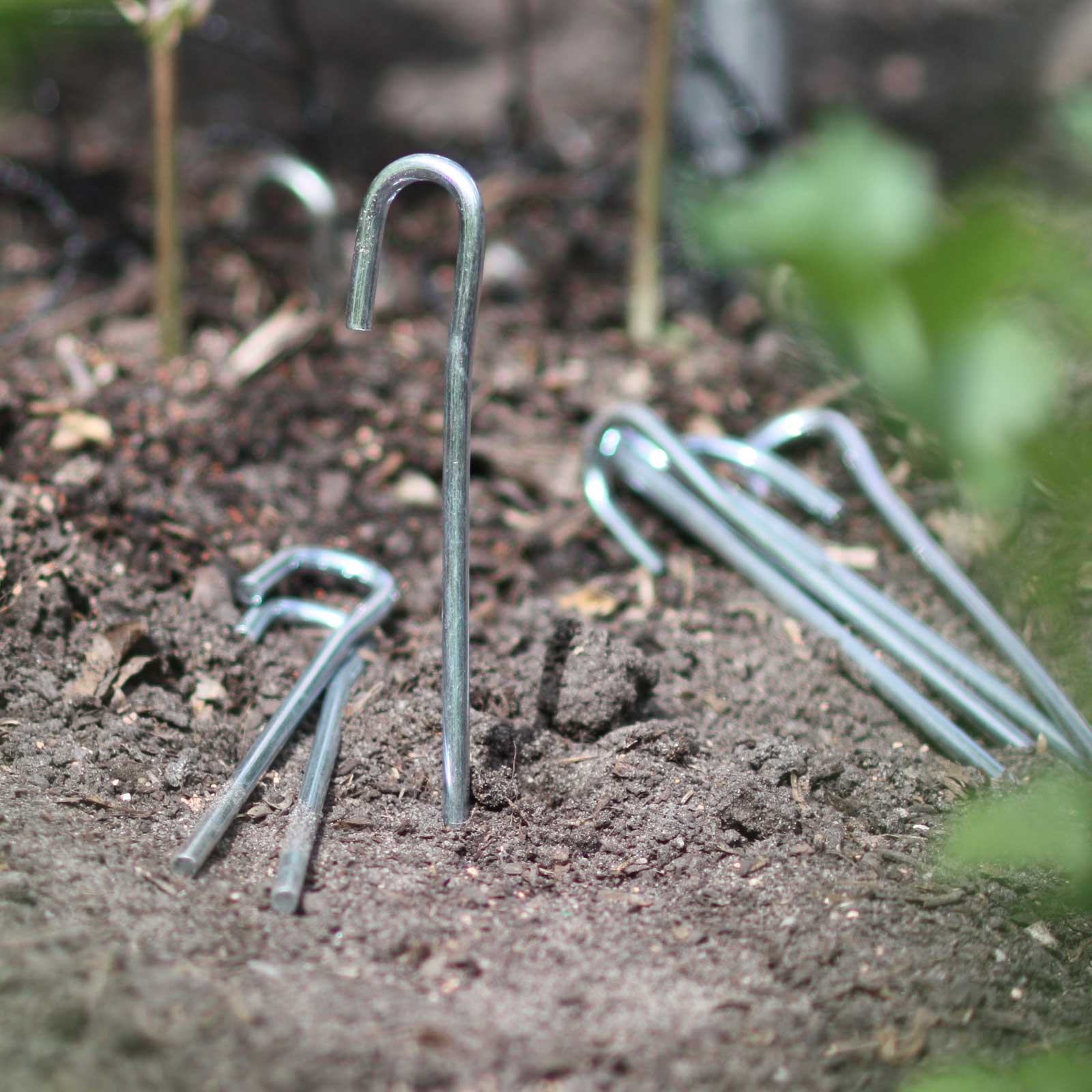 Steel Ground Pegs - Harrod Horticultural (UK)